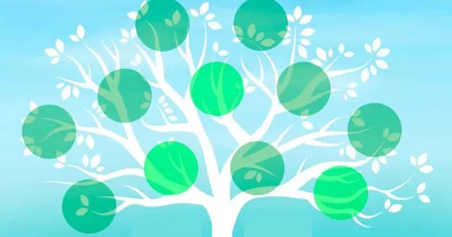 Lära sig! Designa ett släktträd i Word med dessa funktioner