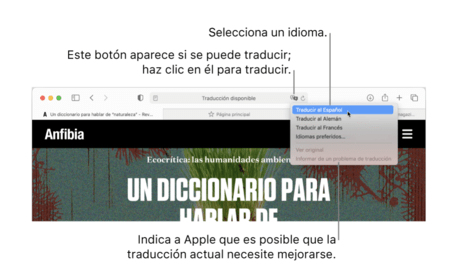 macOS Big Sur'da Safari çeviri aracı nasıl kullanılır?